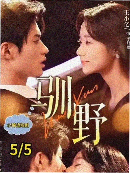 旧城电台剧集卡片的画面缩影